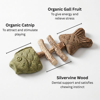 🌿 Catnip & Silvervine Chew Sticks 🐱 | Helps Clean Teeth & Freshen Breath | Encourages Healthy Chewing and Play | Natural Interactive Toy for Kittens & Adult Cats