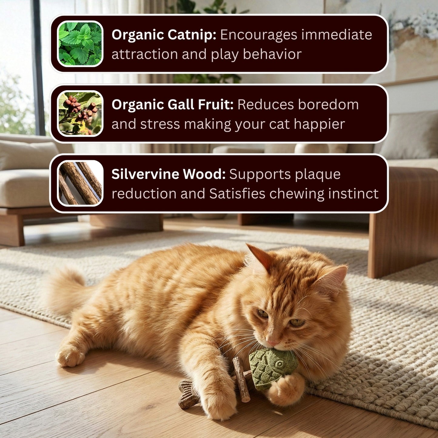 🌿 Catnip & Silvervine Chew Sticks 🐱 | Helps Clean Teeth & Freshen Breath | Encourages Healthy Chewing and Play | Natural Interactive Toy for Kittens & Adult Cats