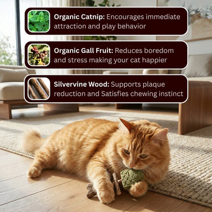 🌿 Catnip & Silvervine Chew Sticks 🐱 | Helps Clean Teeth & Freshen Breath | Encourages Healthy Chewing and Play | Natural Interactive Toy for Kittens & Adult Cats